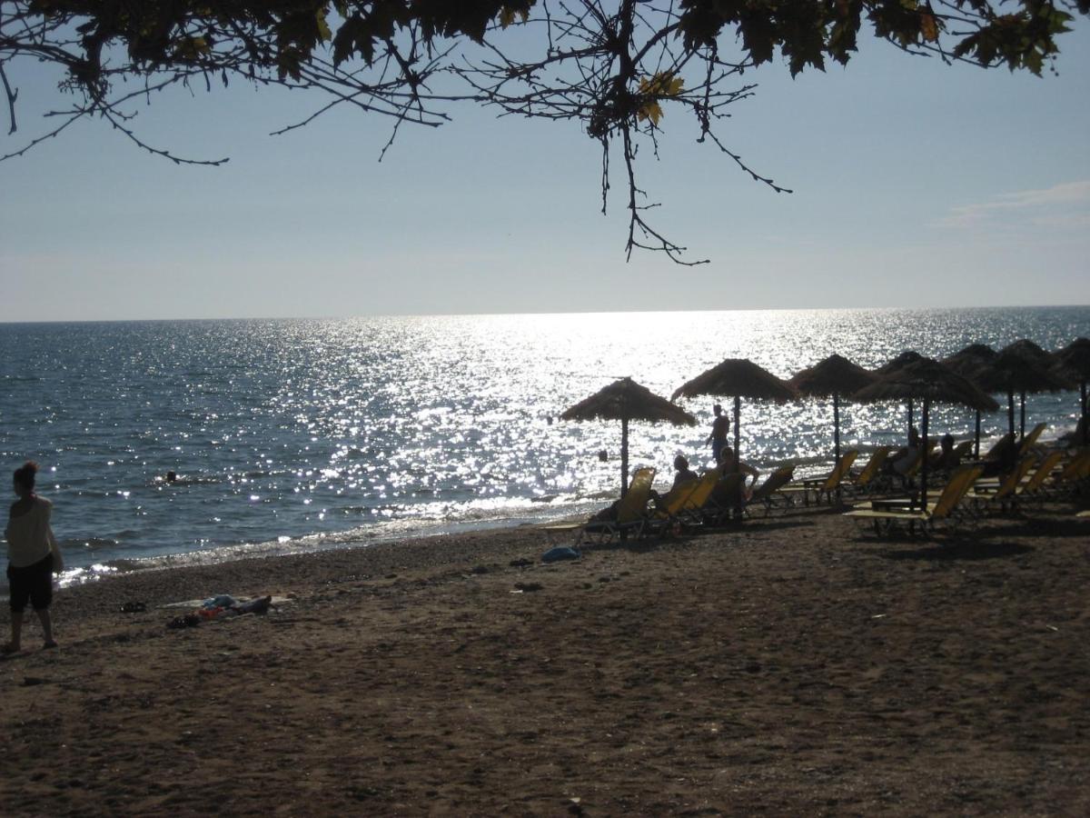 Alexander Luxury Sea Apartments Néa Khilí Εξωτερικό φωτογραφία